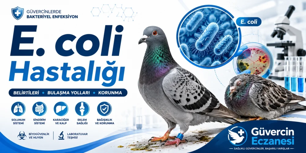 E. coli Hastalığı: Belirtileri, Nedenleri ve Yapılması Gerekenler