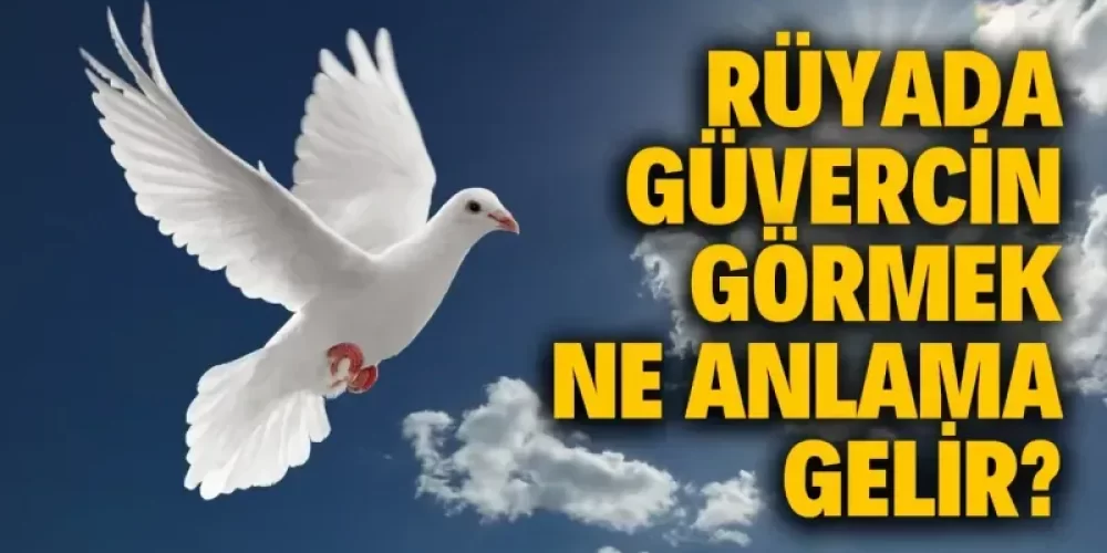 Rüyada Güvercin Görmek