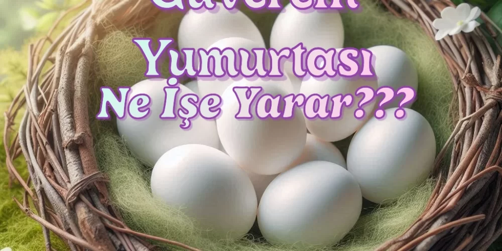 Sahte Güvercin Yumurtası Ne İşe Yarar?