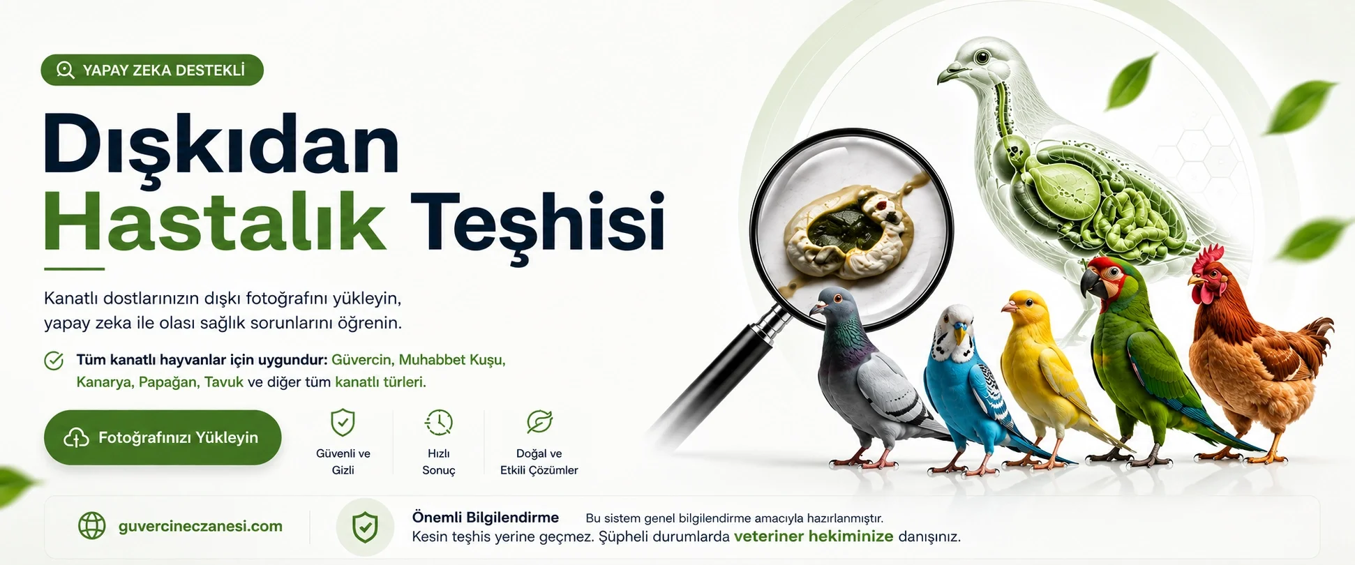 Dışkıdan Hastalık Teşhisi