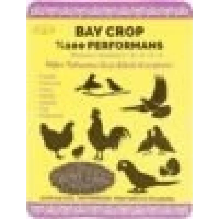 Bay Crop Kızıştırıcı Toz 100 gr