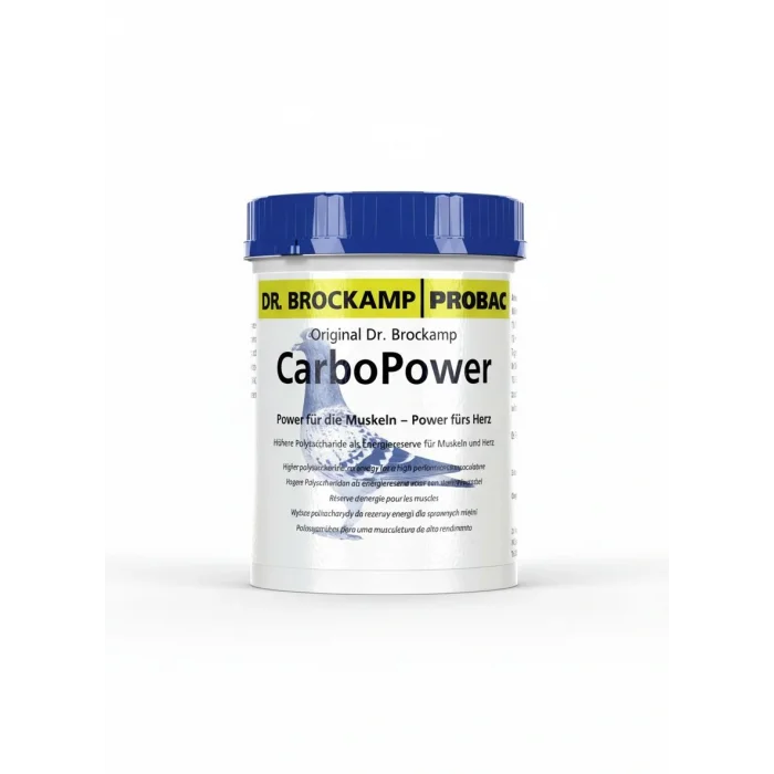 Carbo power 500 gram