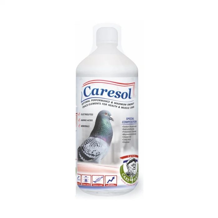 Caresol Enerji ve Performans 1000 ML