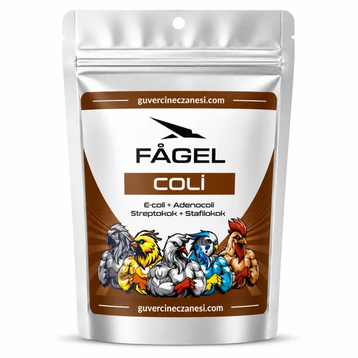 Fagel Coli 50 gr Bölünmüş