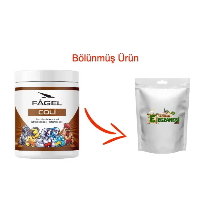 Coli 25 gr bölünmüş