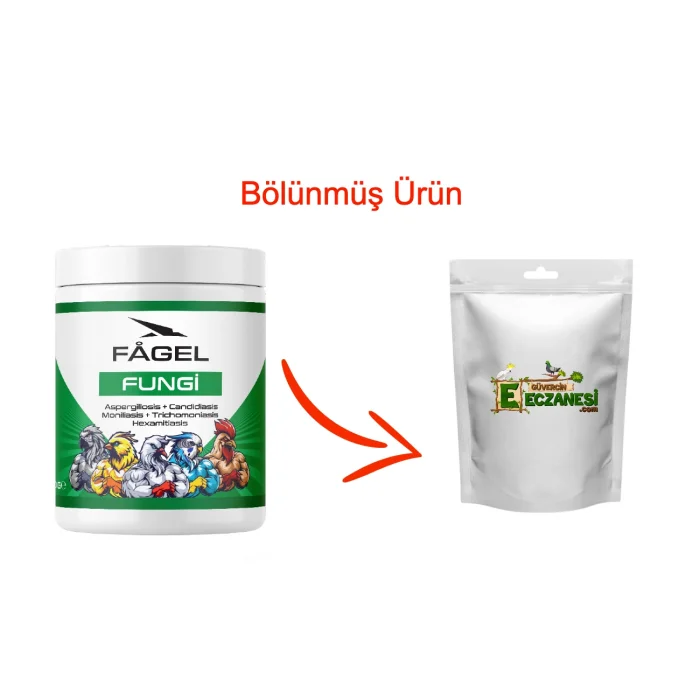 Fungi 50 gr bölünmüş