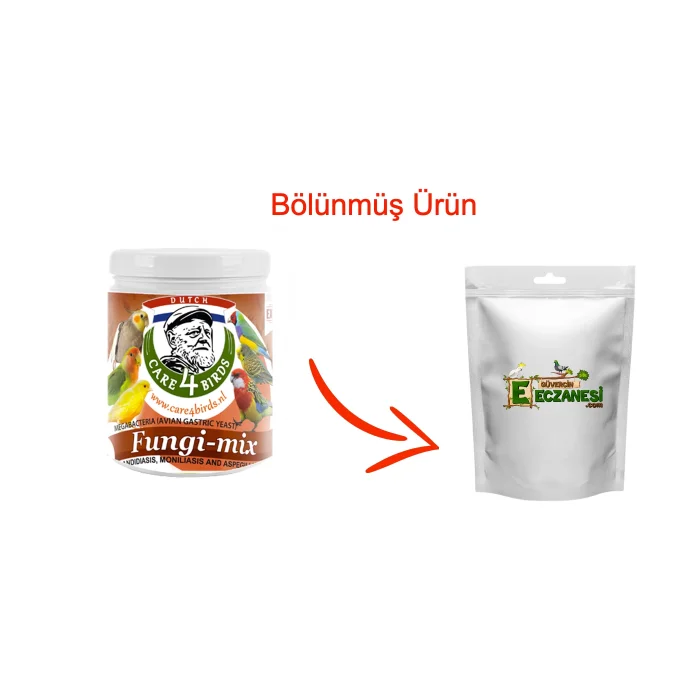 Fungi Mix 25 gram bölünmüş