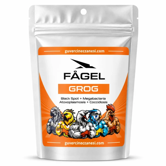 Fagel Grog 25 gr Bölünmüş