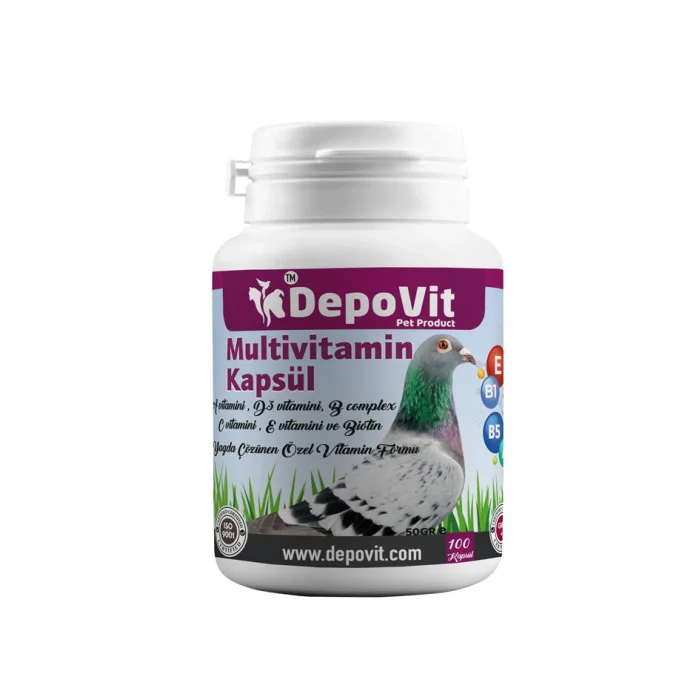 Multi Vitamin Kapsül 100 adet