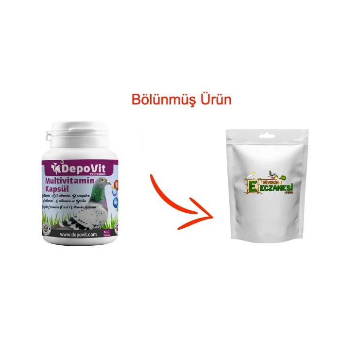 Multi Vitamin Kapsül 50 adet bölünmüş