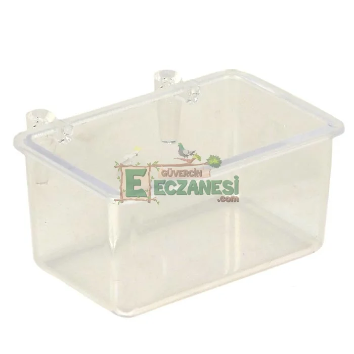 Orta Mamalık Şeffaf