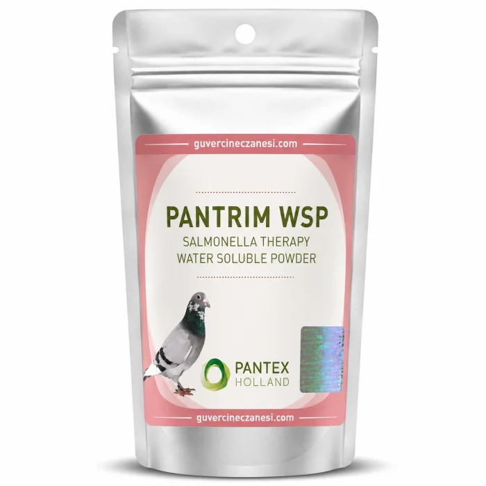 Pantex Holland Pantrim Wsp 25 gr bölünmüş
