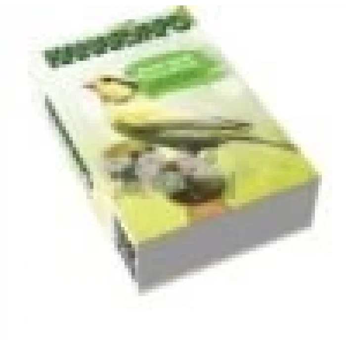 Patel Ayak Tedavi Bilezik Seti 8 li