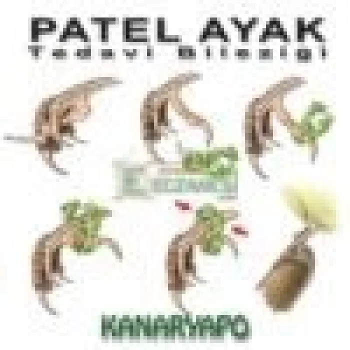 Patel Ayak Tedavi Bilezik Seti 8 li