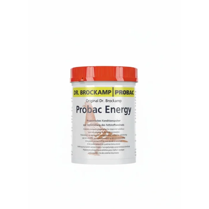 Probac Energy 500 gram