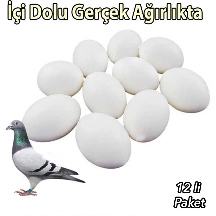 Sahte Güvercin Yumurtası 12 adet