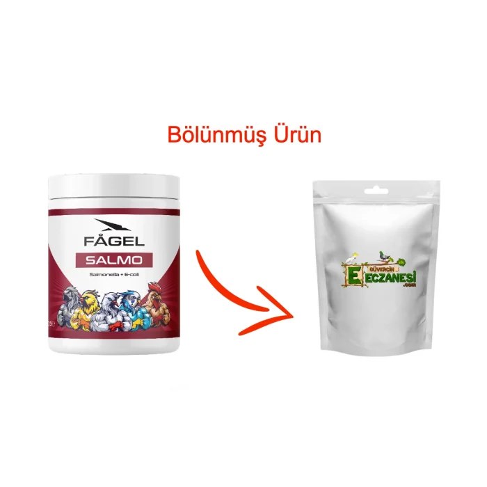 Salmo 50 gr bölünmüş