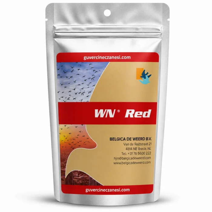 Belgica De Weerd Wn red 50 gr bölünmüş