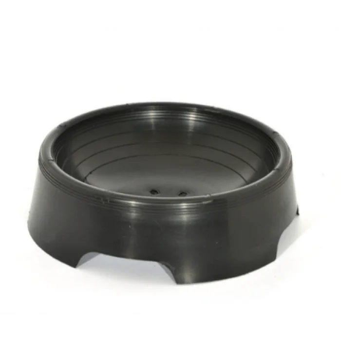 Yuvarlak Güvercin Yumurtalığı