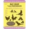 Bay Crop Kızıştırıcı Toz 100 gr