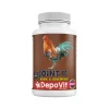 Joint K Horoz vitamini