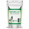 Pantex Holland Pantomix 4 in 1 25 gr bölünmüş