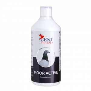 Cest Pharma Moor Active 1000 ml