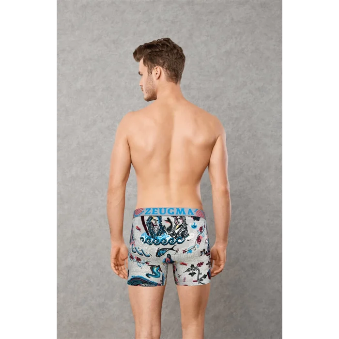 Doreanse 1806 Erkek Modal Çok Renkli Baskılı Torbalı Normal Paça Boxer