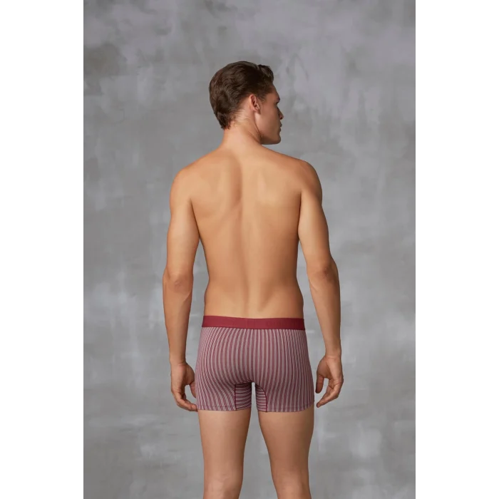 Doreanse 1866 Erkek Modal Çizgi Desenli Normal Paça Boxer