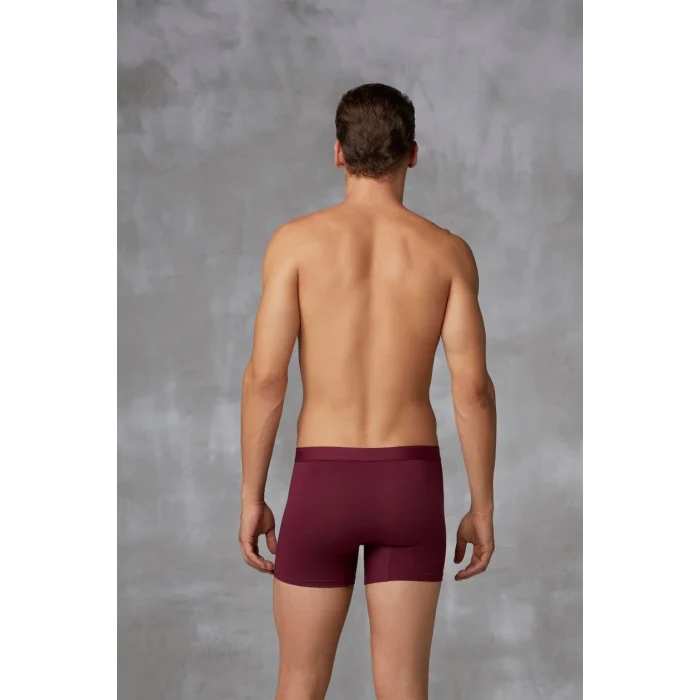 Doreanse 1742 Erkek Pamuklu Çok Renkli 3lü Boxer