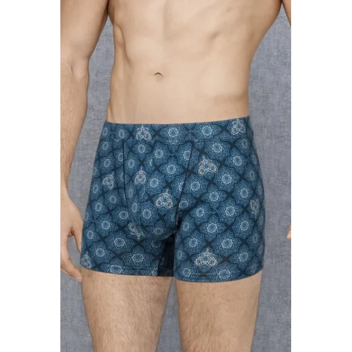 Doreanse 1748 Desenli Boxer