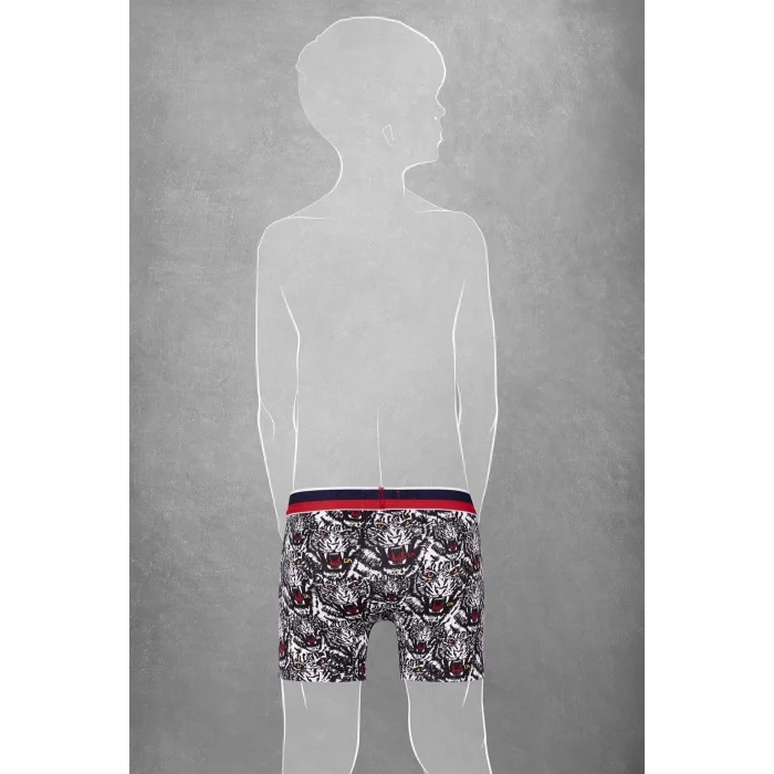 Doreanse 610 Erkek Çocuk Boxer