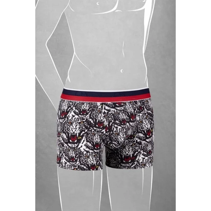 Doreanse 610 Erkek Çocuk Boxer