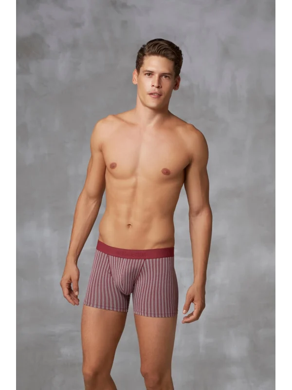 Doreanse 1866 Erkek Modal Çizgi Desenli Normal Paça Boxer