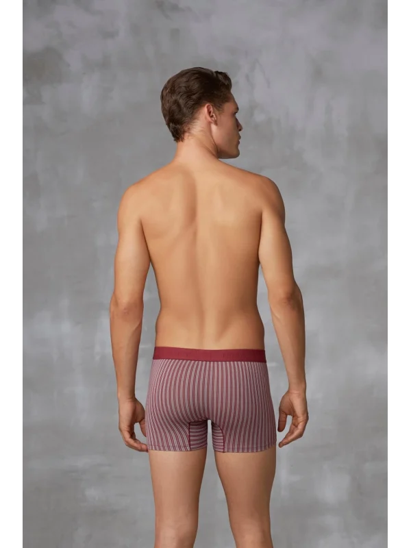 Doreanse 1866 Erkek Modal Çizgi Desenli Normal Paça Boxer