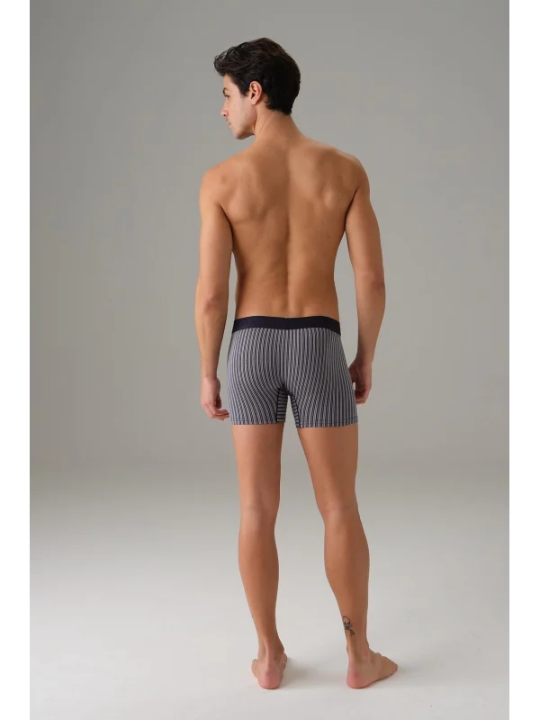 Doreanse 1866 Erkek Modal Çizgi Desenli Normal Paça Boxer