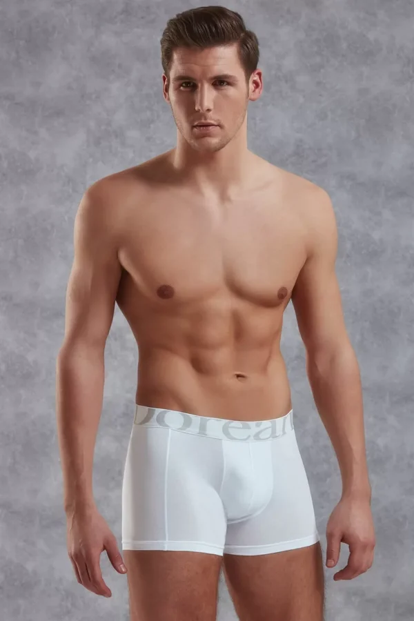 Doreanse 1777 Erkek Modal Torbalı Normal Paça Boxer