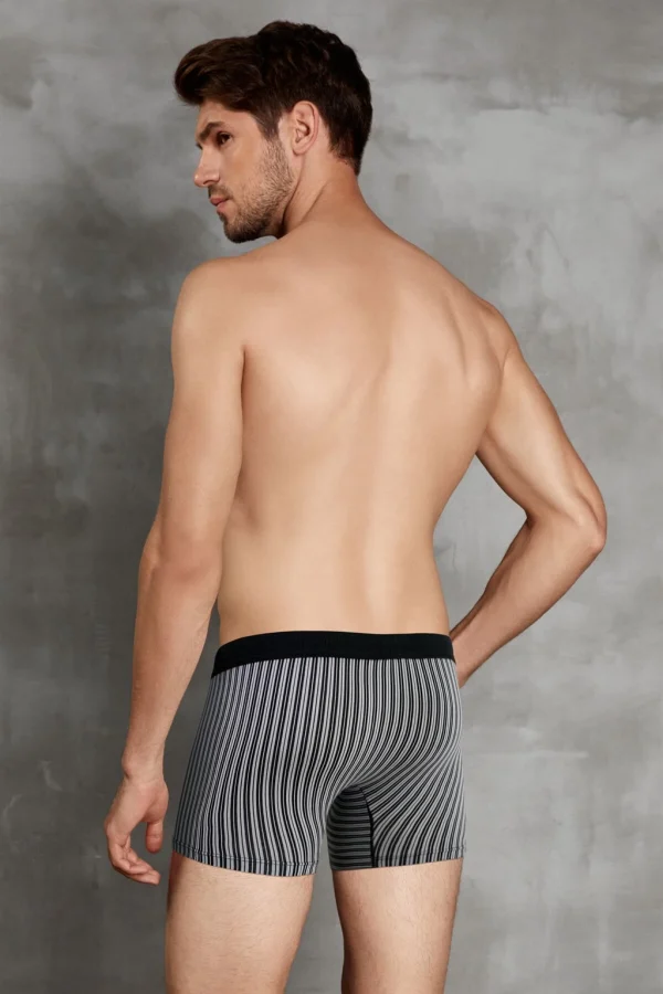 Doreanse 1866 Erkek Modal Çizgi Desenli Normal Paça Boxer