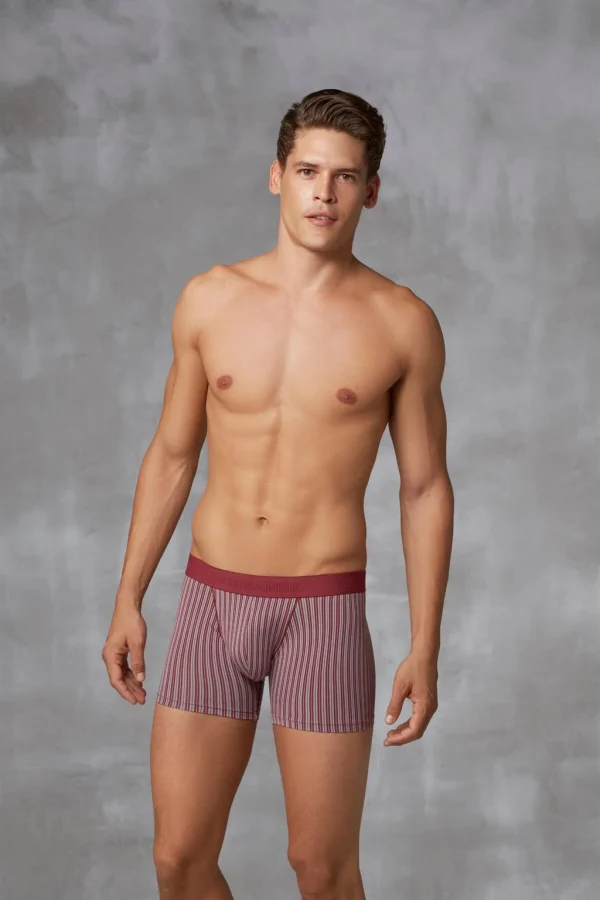 Doreanse 1866 Erkek Modal Çizgi Desenli Normal Paça Boxer