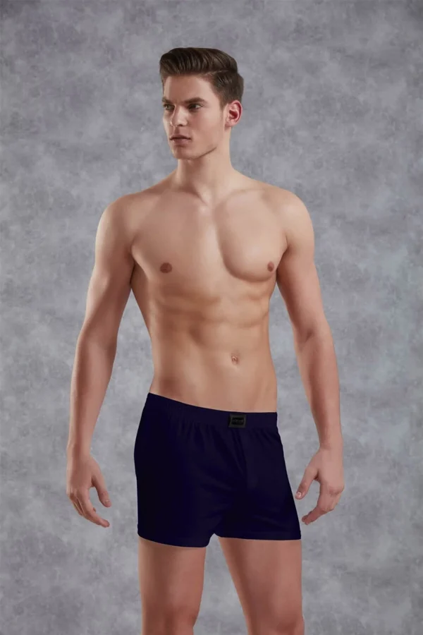 Doreanse 1511 Erkek Penye Boxer