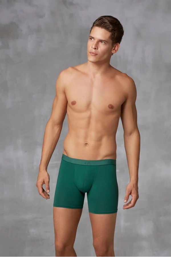 Doreanse 1742 Erkek Pamuklu Çok Renkli 3lü Boxer