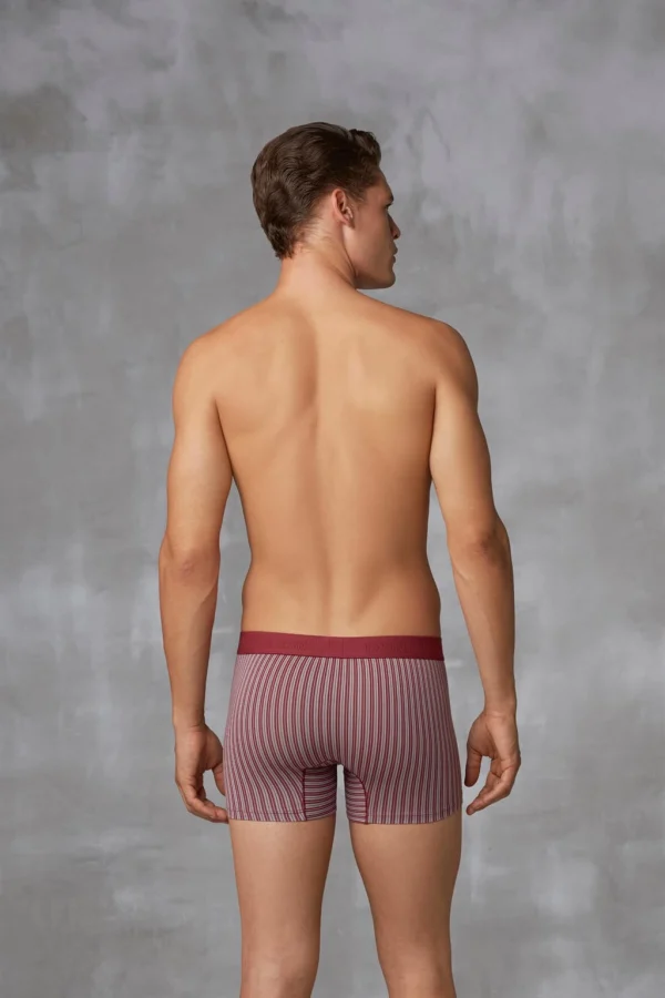 Doreanse 1866 Erkek Modal Çizgi Desenli Normal Paça Boxer