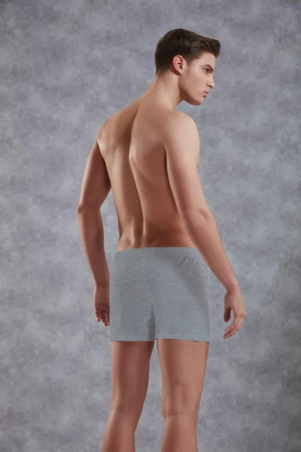 Doreanse 1511 Erkek Penye Boxer