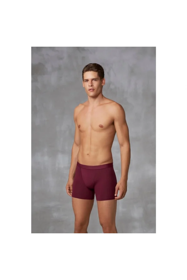 Doreanse 1742 Erkek Pamuklu Çok Renkli 3lü Boxer