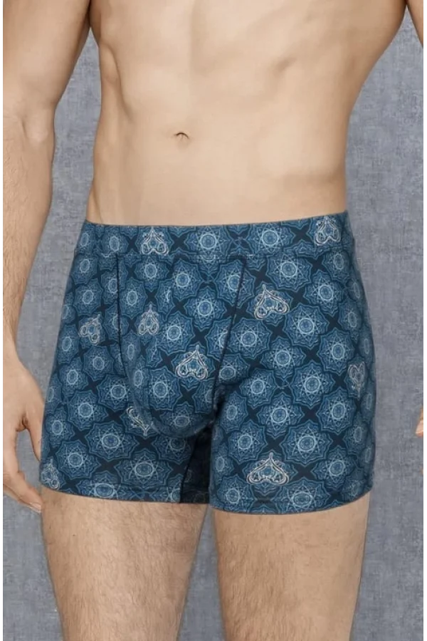 Doreanse 1748 Desenli Boxer