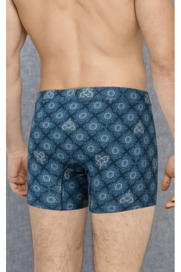 Doreanse 1748 Desenli Boxer