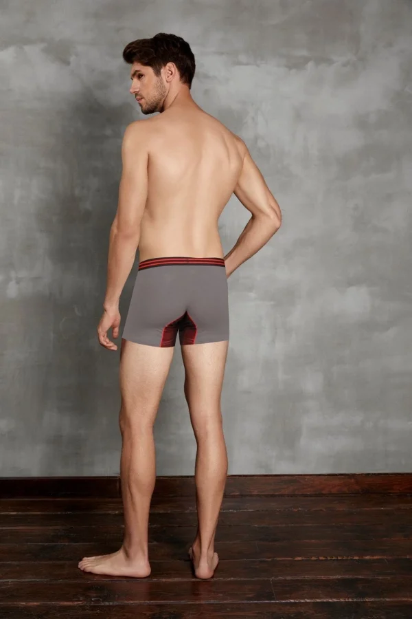 Doreanse 1752 Elegant Erkek Boxer