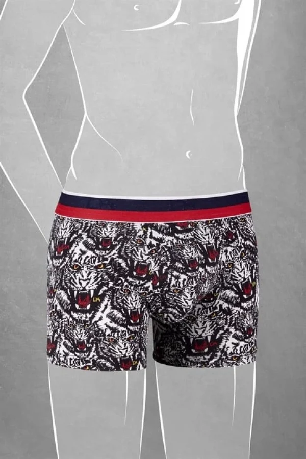 Doreanse 610 Erkek Çocuk Boxer