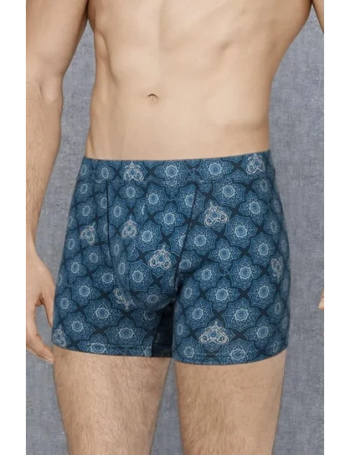 Doreanse 1748 Desenli Boxer