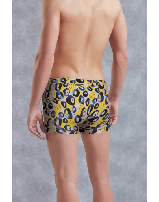 Doreanse 1799 Erkek Boxer